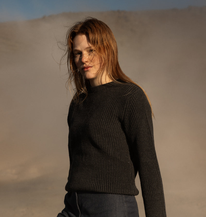 PINO BURRO LANAPA P1