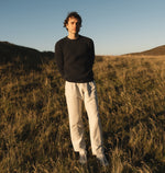 PINO BURRO LANAPA P1