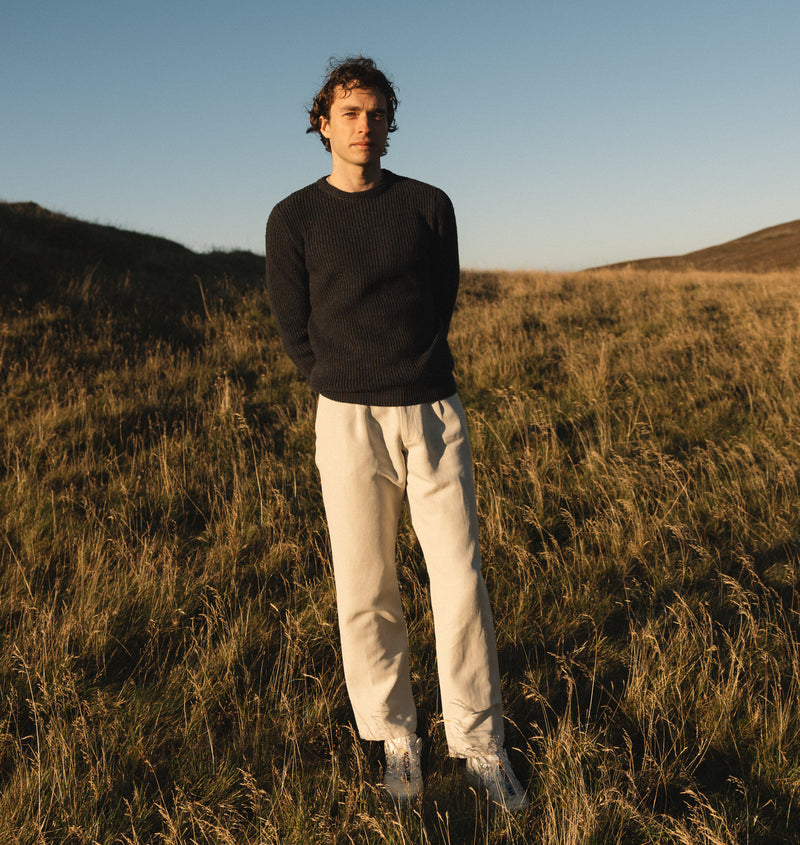 PINO BURRO LANAPA P1