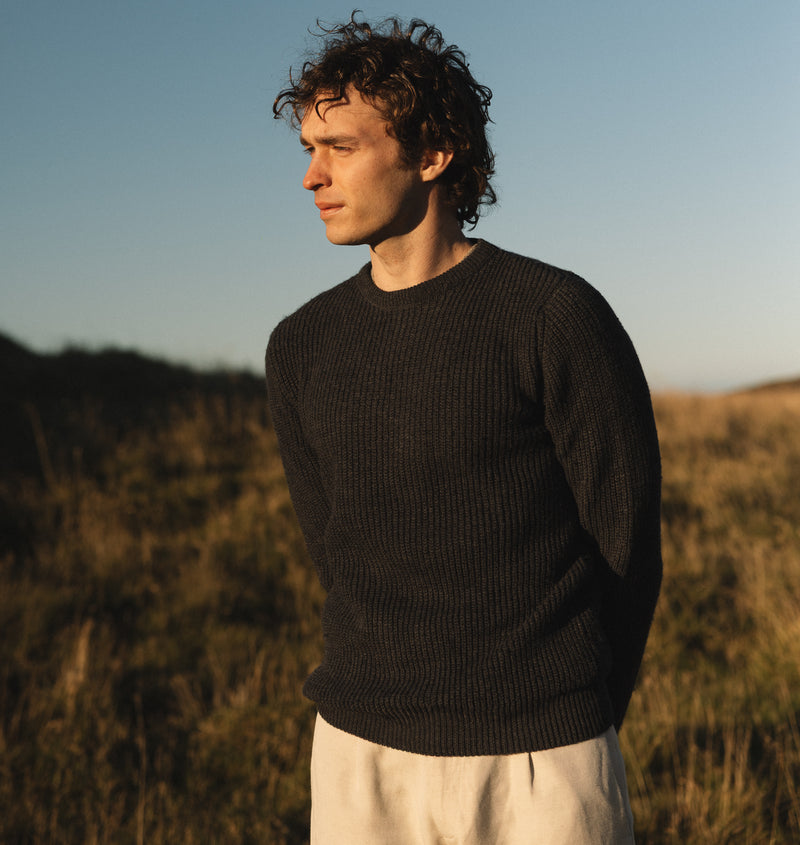 PINO BURRO LANAPA P1