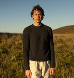 PINO BURRO LANAPA P1