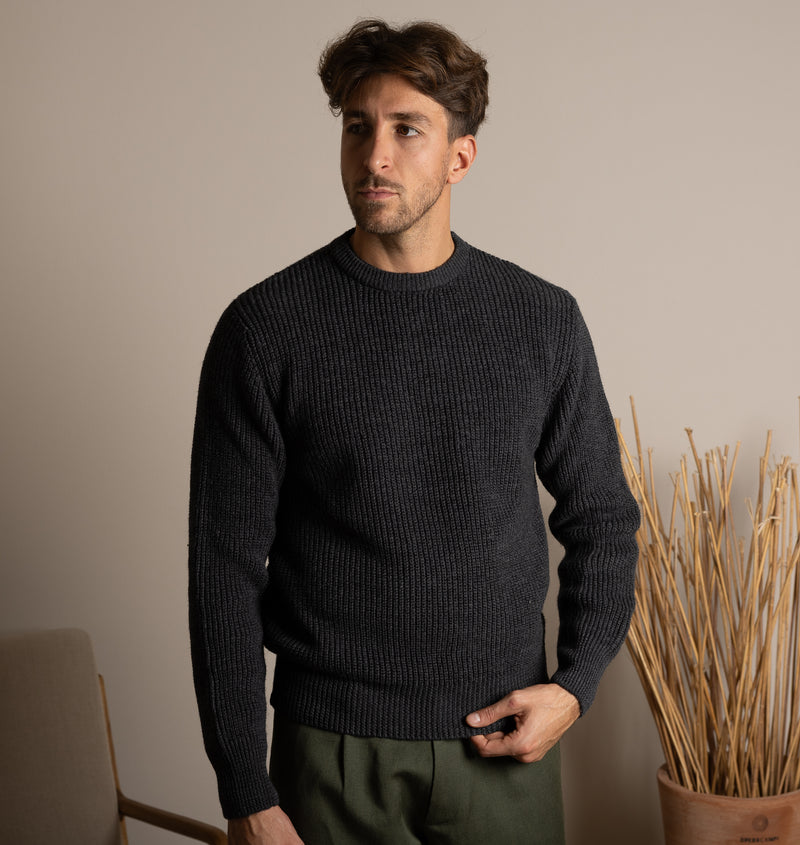 PINO BURRO LANAPA P1