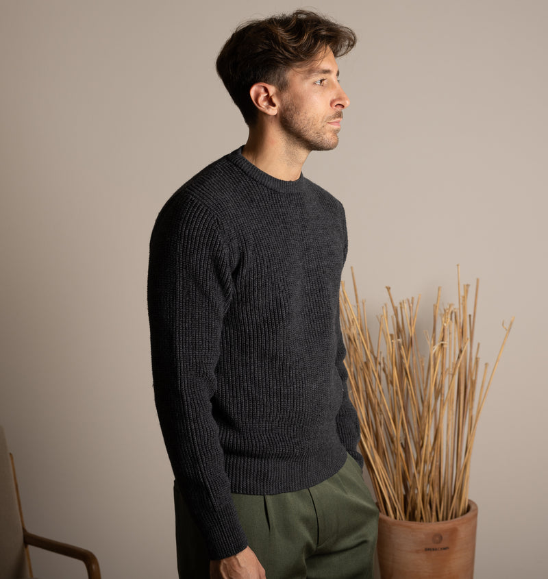 PINO BURRO LANAPA P1