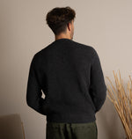 PINO BURRO LANAPA P1